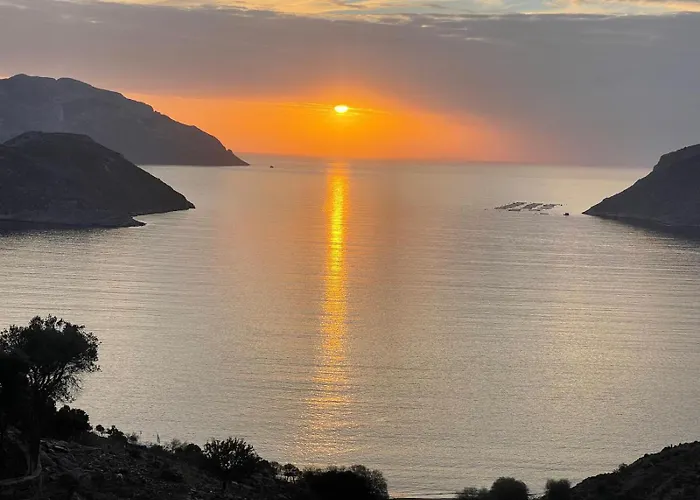 فيلة Shaunagh's Place